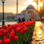 optimal istanbul travel periods